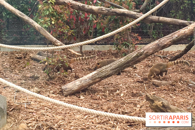 Parc Zoologique de Paris 2019