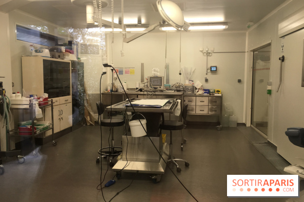 Parc Zoologique de Paris 2019