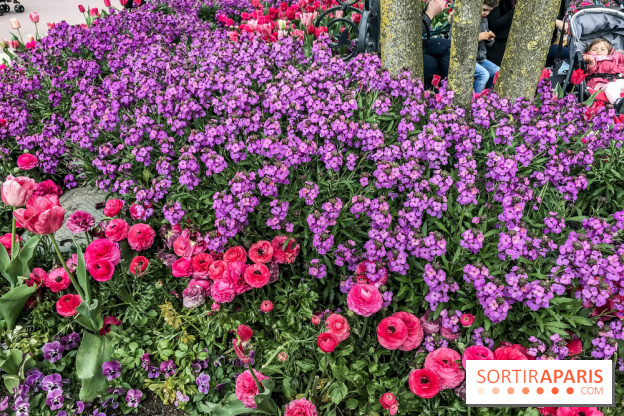 Earth Month à Disneyland Paris