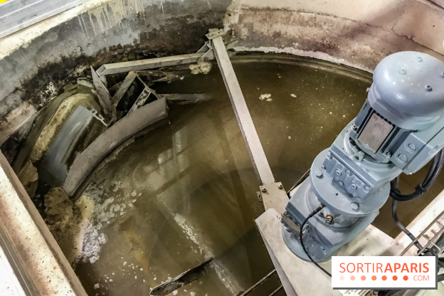 Earth Month à Disneyland Paris