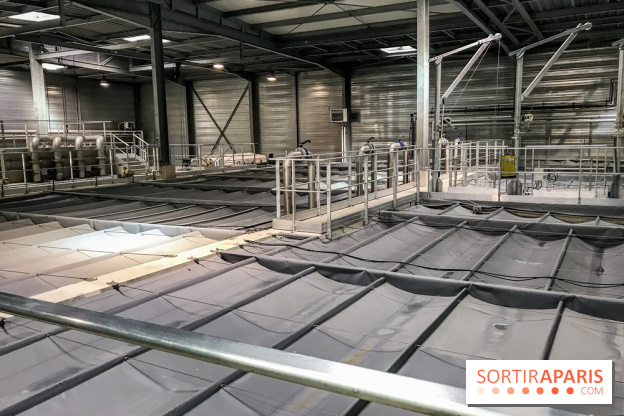 Earth Month à Disneyland Paris