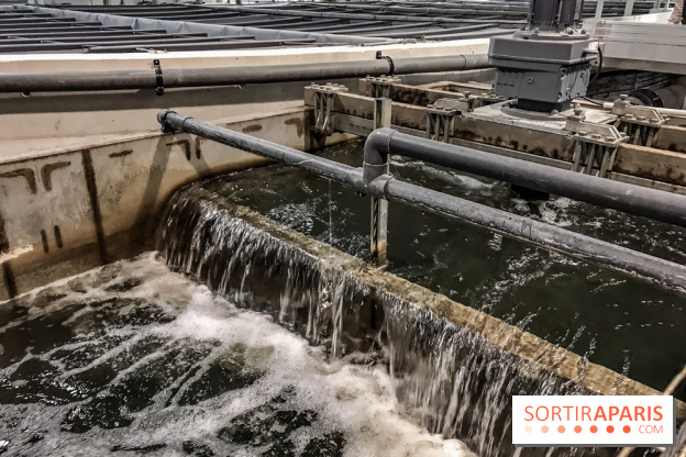 Earth Month à Disneyland Paris