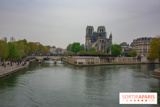 Notre Dame de Paris, les photos des dégâts