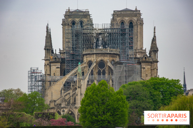 Notre Dame de Paris, les photos des dégâts