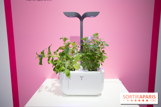 Foire de Paris 2019 : innovation