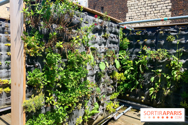 Le Relais - Paris 11