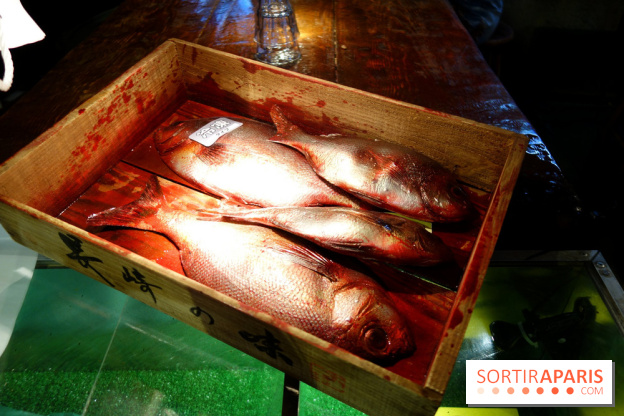Kodawari Ramen Tsukiji à Paris, les photos