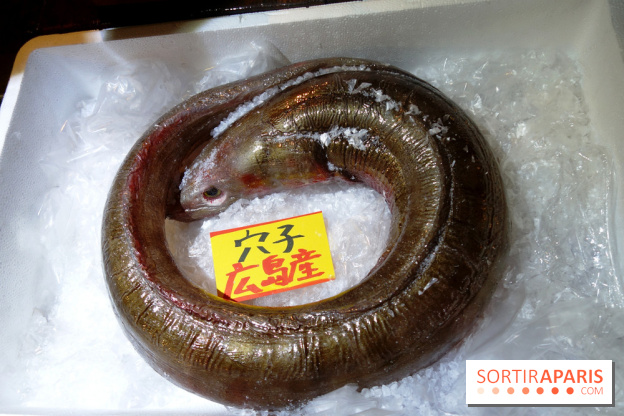 Kodawari Ramen Tsukiji à Paris, les photos