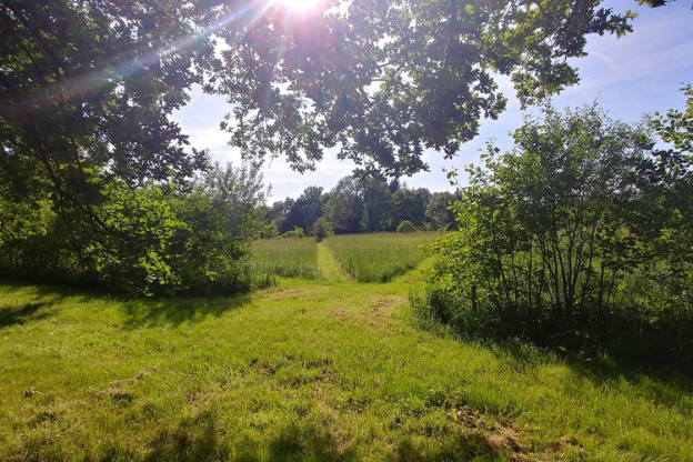 Rendez-vous aux Jardins de Garneliance en juin 2023