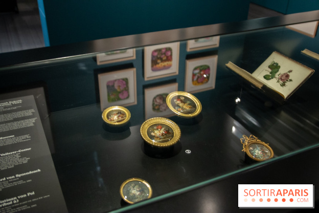 Les drôles de petites bêtes d'Antoon Krings au Musée des Arts Décoratifs : nos photos