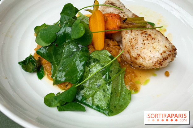 Le Bel Ordinaire, rive gauche 