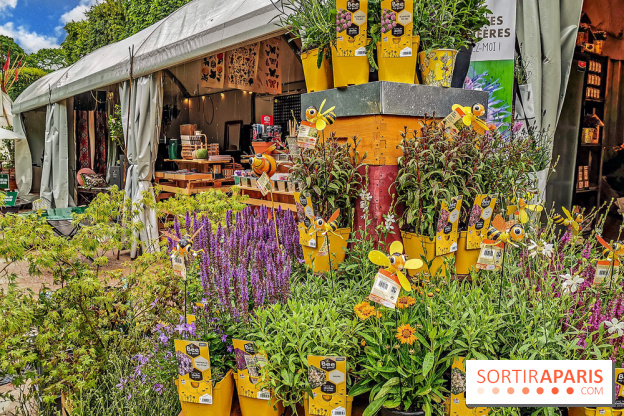 Jardins Jardin aux Tuileries 2019