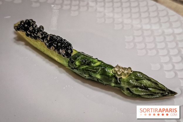 Atelier dégustation de Saké avec Xavier Thuizat au Crillon