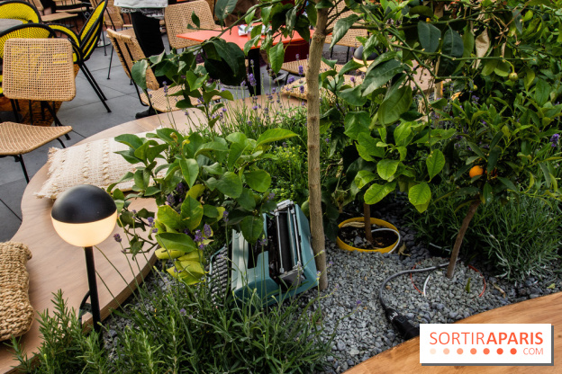 Créatures : le restaurant éphémère sur la terrasse des Galeries Lafayette, les photos