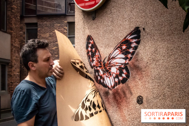 Les Papillons de C215