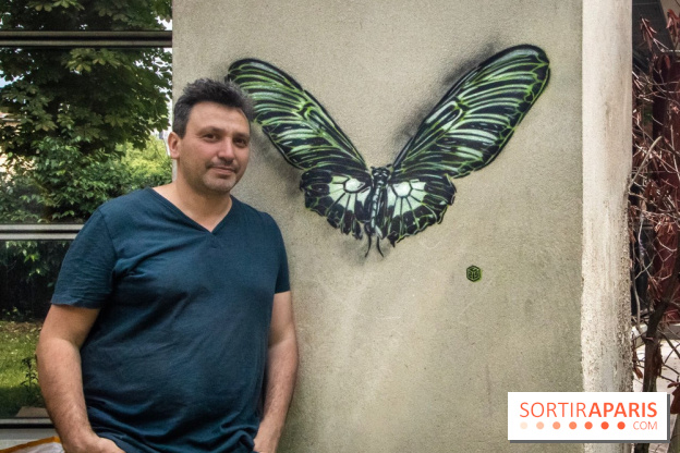 Les Papillons de C215