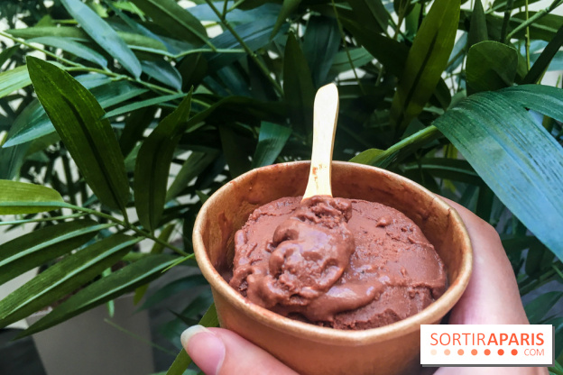 Les glaces au chocolat de Ducasse 