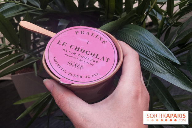 Les glaces au chocolat de Ducasse 
