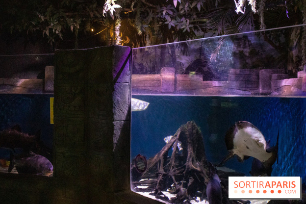 Les petits déjeuners avec les manchots de l'aquarium Sea Life