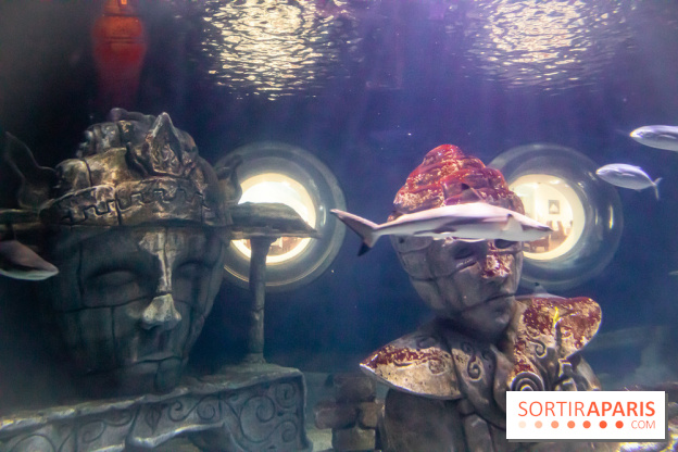 Les petits déjeuners avec les manchots de l'aquarium Sea Life