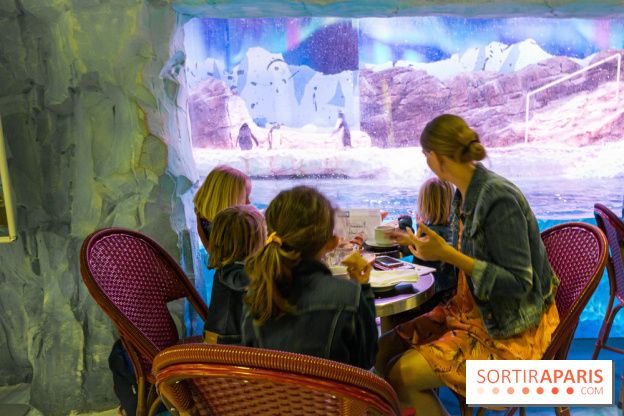 Les petits déjeuners avec les manchots de l'aquarium Sea Life