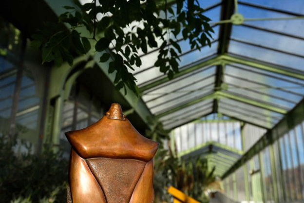 Carapaces et Sortilèges au Jardin des Plantes