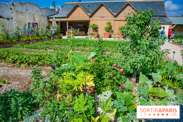Le Château de Chambord fête ses 500 ans : le programme des festivités
