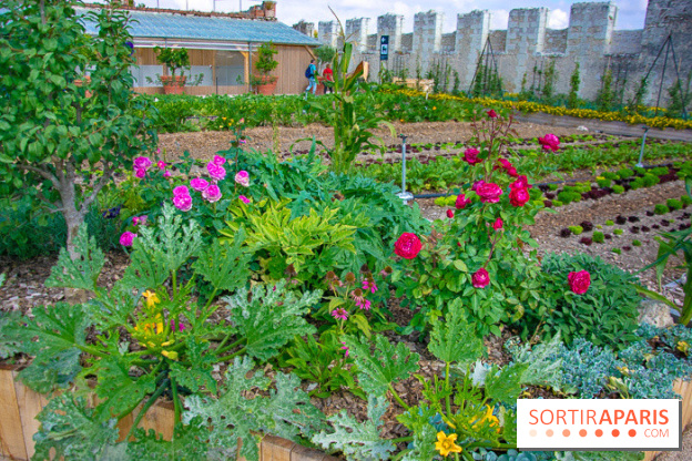 Le Château de Chambord fête ses 500 ans : le programme des festivités