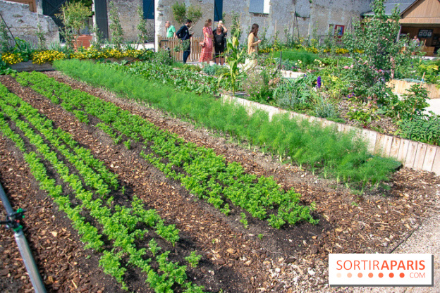 Le Château de Chambord fête ses 500 ans : le programme des festivités