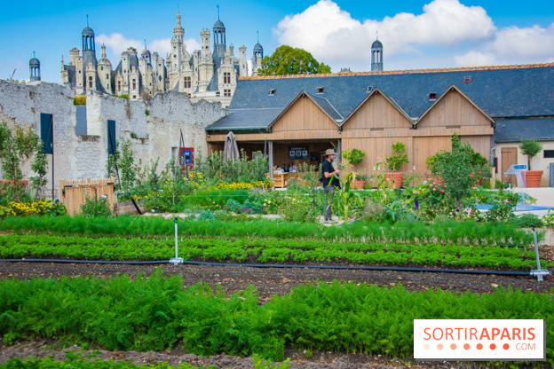 Le Château de Chambord fête ses 500 ans : le programme des festivités