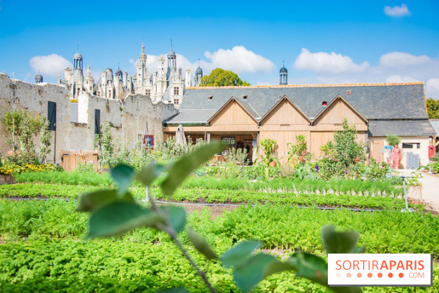 Le Château de Chambord fête ses 500 ans : le programme des festivités
