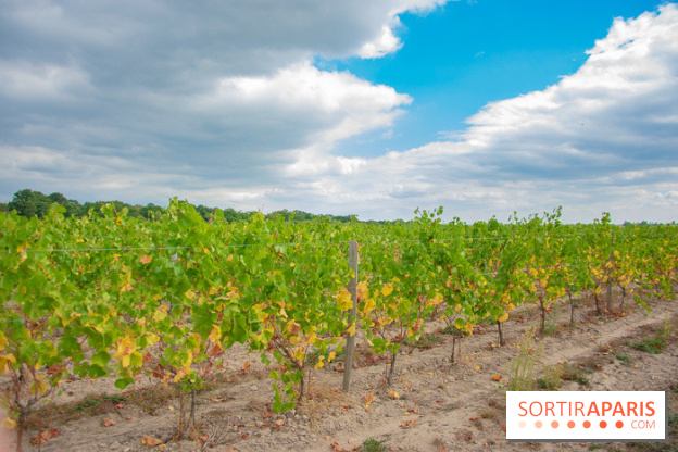 Le Château de Chambord fête ses 500 ans : le programme des festivités