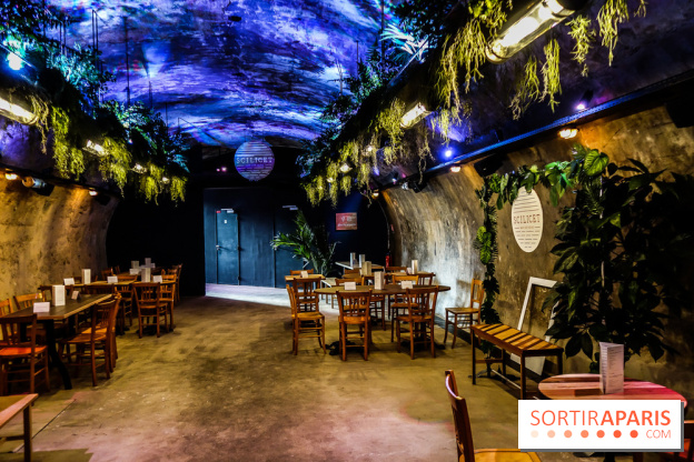 Bar le Scilicet, les photos