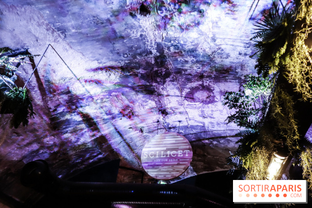 Bar le Scilicet, les photos