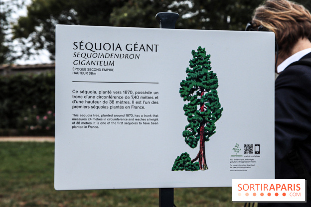 Le parcours des Arbres Admirables dans le domaine du château de Versailles