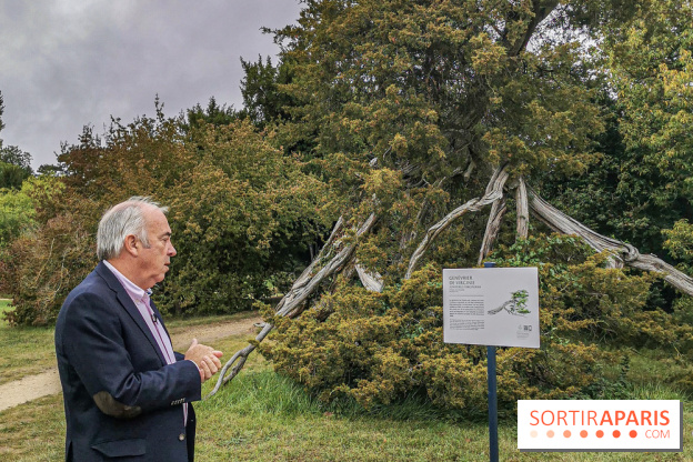 Le parcours des Arbres Admirables dans le domaine du château de Versailles