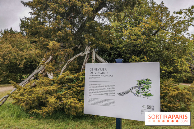 Le parcours des Arbres Admirables dans le domaine du château de Versailles