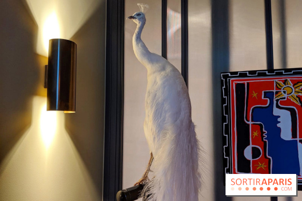 Vincent Darré x Cointreau