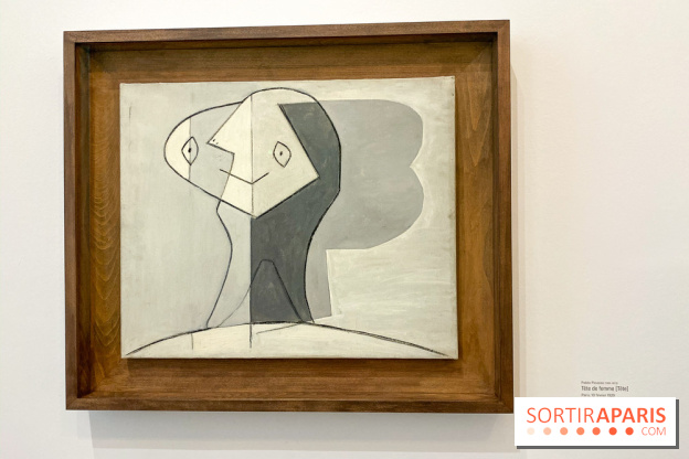 Exposition Tableaux Magiques au Musée Picasso