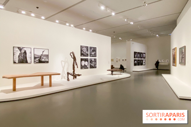 Charlotte Perriand à la Fondation Vuitton