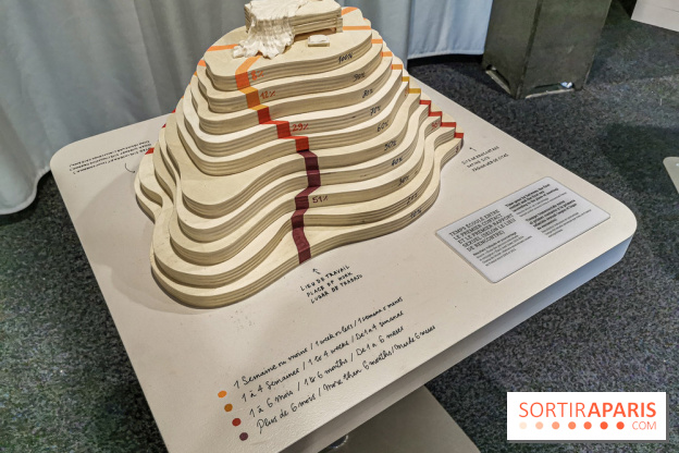 Exposition Amour au Palais de la Découverte