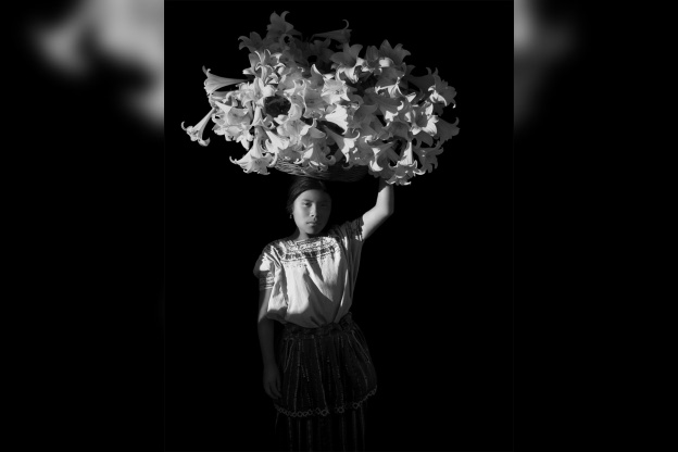 Noir et Blanc : une esthétique de la photographie, l'exposition au Grand Palais