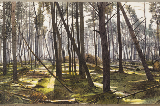 A bois perdu, l'exposition à la Fondation Custodia