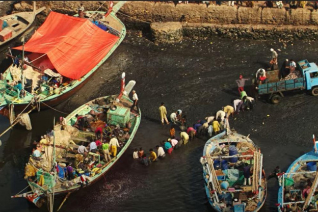 Human, le film de Yann Arthus-Bertrand à découvrir gratuitement