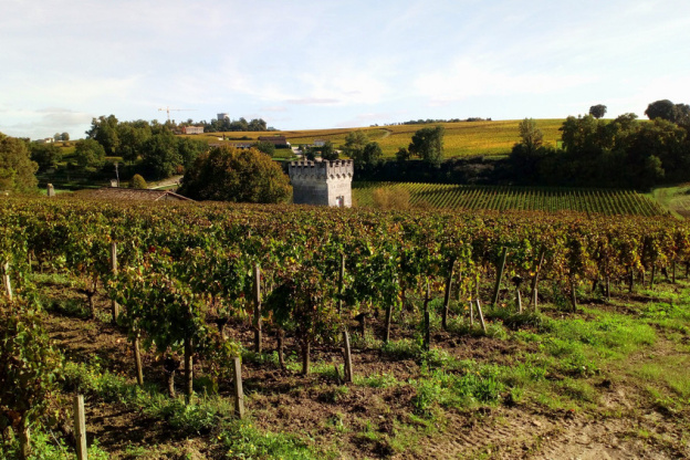 Des bouteilles de vin de retour à Bordeaux après un voyage dans la Station spatiale internationale