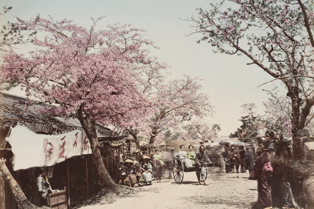 Atelier de Kusakabe Kimbei, L’Avenue des cerisiers à Tokyo, 1880-1903