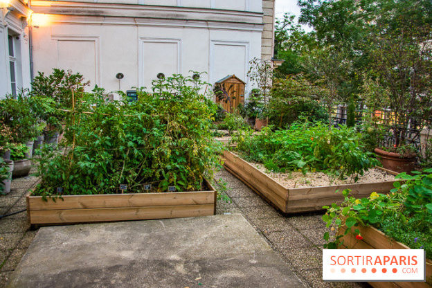 L'Hôtel des Grands Boulevards inaugure son potager suspendu
