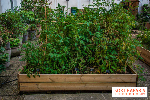 L'Hôtel des Grands Boulevards inaugure son potager suspendu