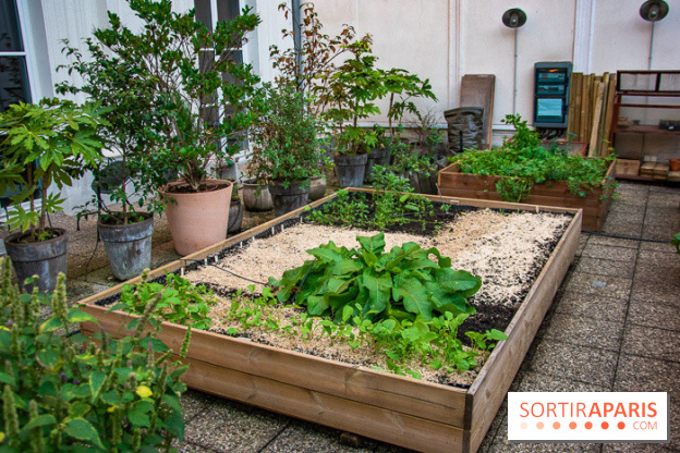 L'Hôtel des Grands Boulevards inaugure son potager suspendu