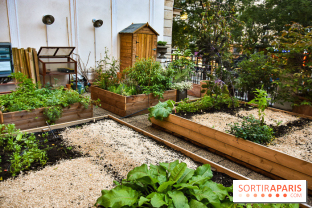 L'Hôtel des Grands Boulevards inaugure son potager suspendu